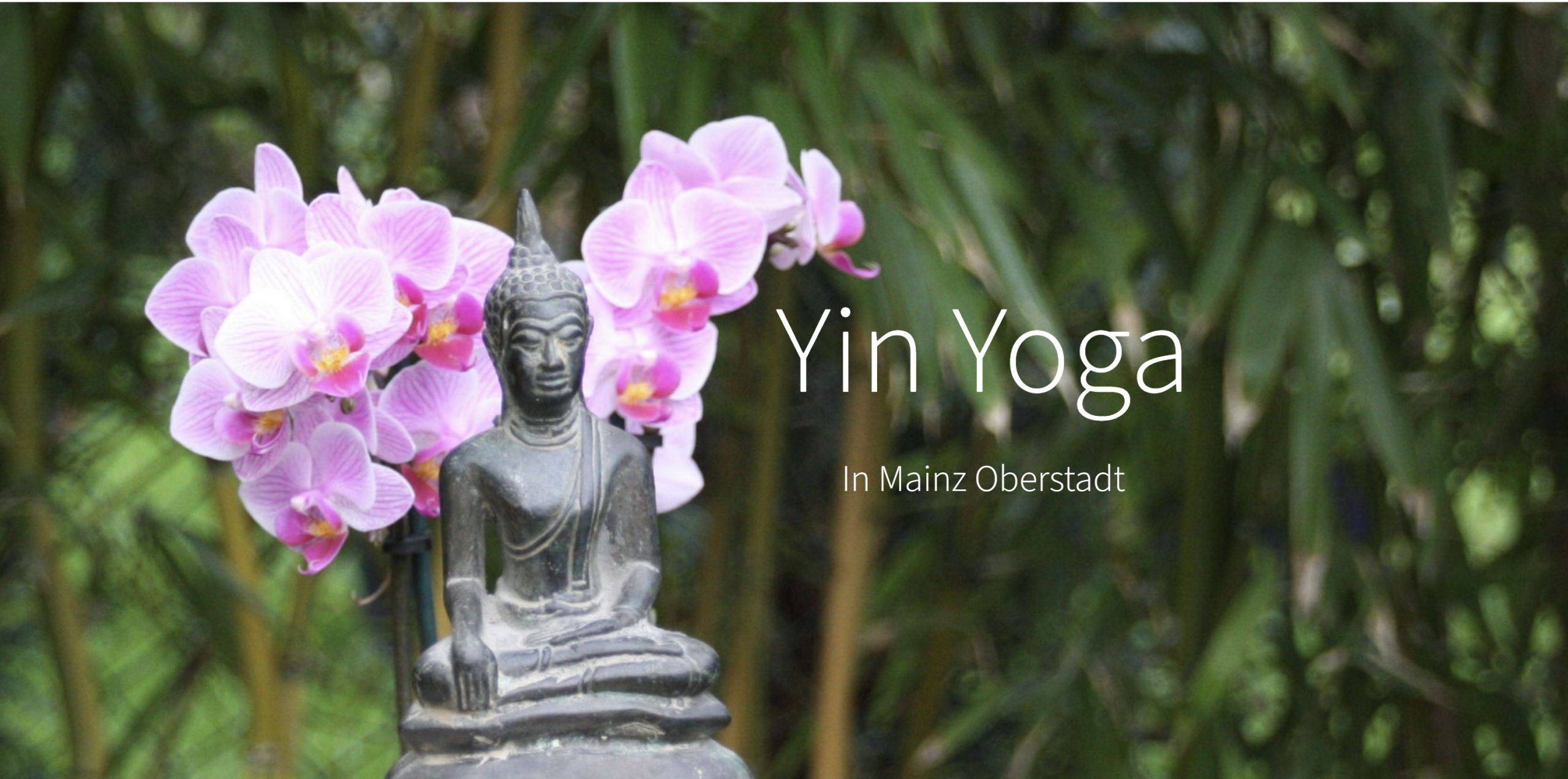 Aktuelle Yin Yoga Kurse